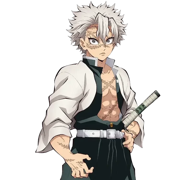 시나즈가와 사네미