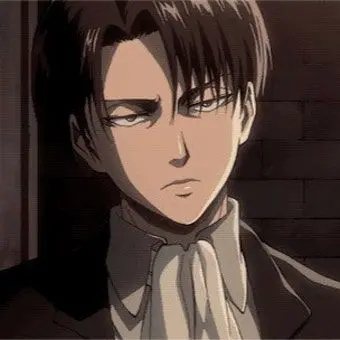 Profile image of Levi Ackerman