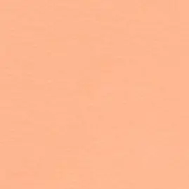 Profile image of 大西流星