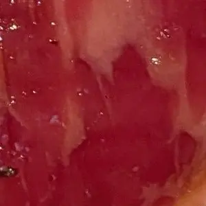 Profile image of うるか