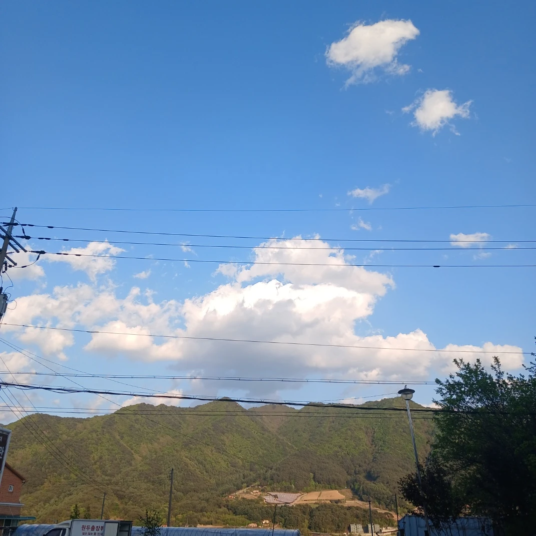 f4무리