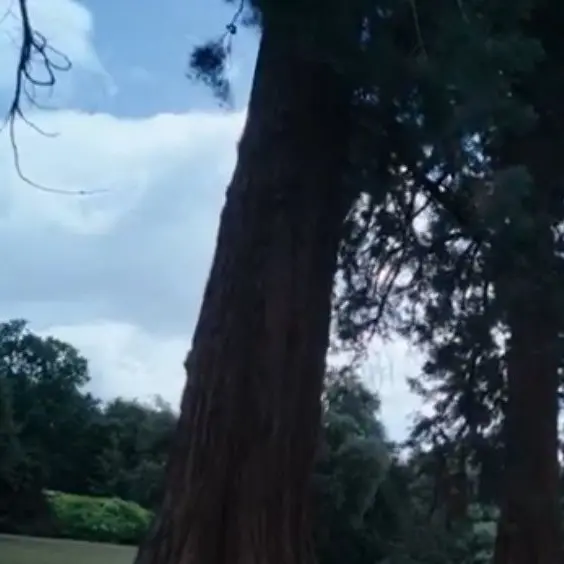 Sungchan_left.wonbin_right의 ★