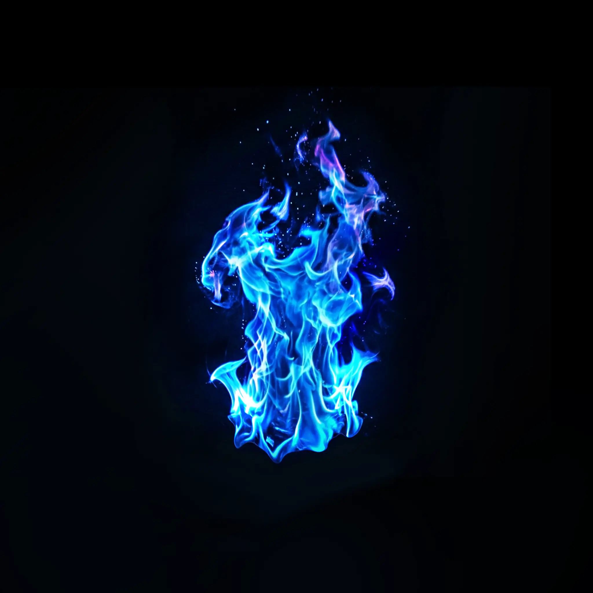 TangyPuli2745의 flämmen Ashe