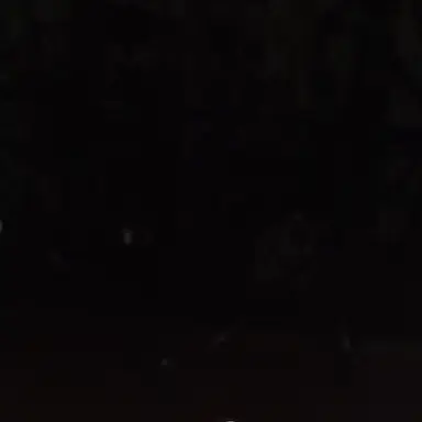 Profile image of 시루토