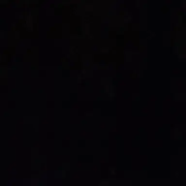 Profile image of 사바투