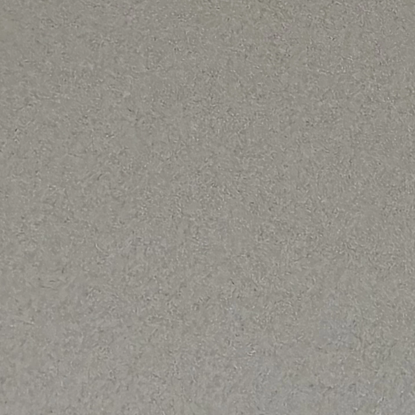 わたし
