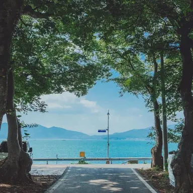 Profile image of 황수현