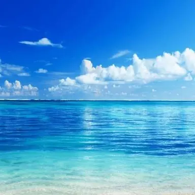 Profile image of 서라더