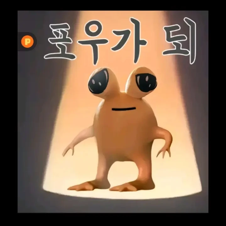 쉘리