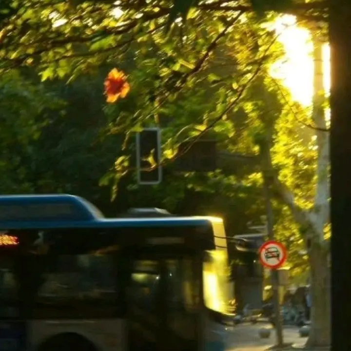 Short_support의 손시우