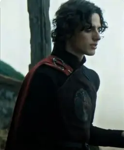 Profile image of Jacaerys Velaryon