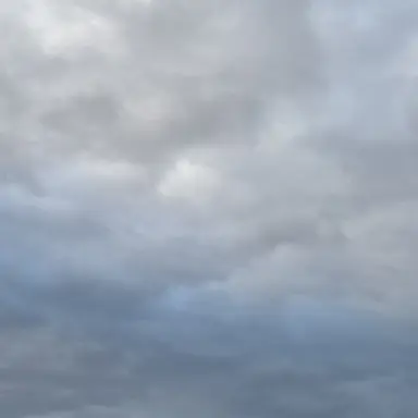 Profile image of 実