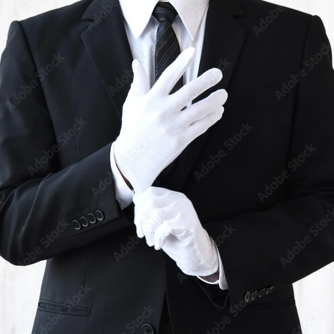 狐