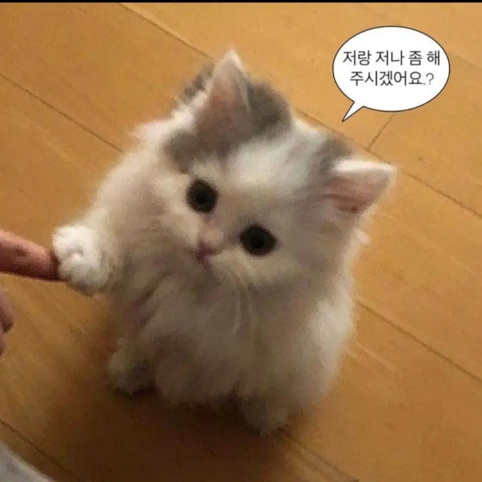 Colada의 시험 조진 밍