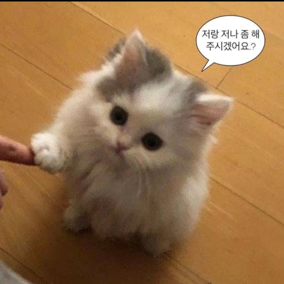 밍