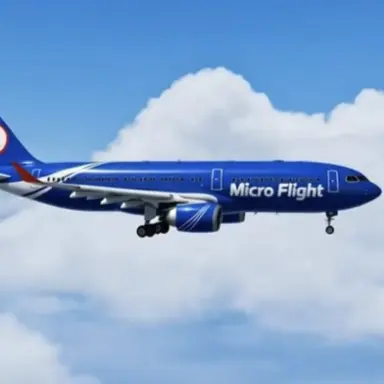 Profile image of Micro Flight Website