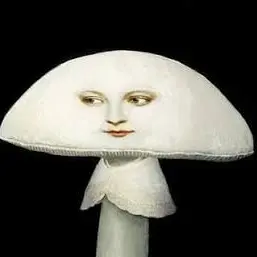 Profile image of そっこらへんのきのこ