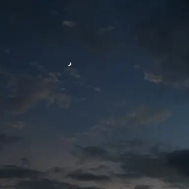 Profile image of 星導ショウ
