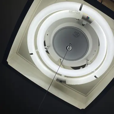 Profile image of くーちゃん