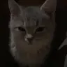 Profile image of りょう