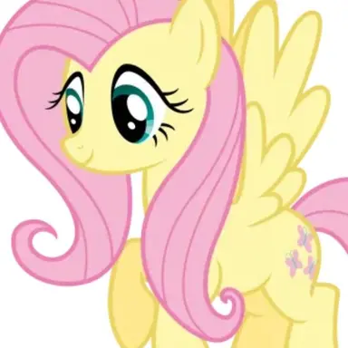 Profile image of 플러터 샤이