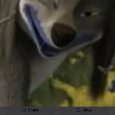 Profile image of The love wolves