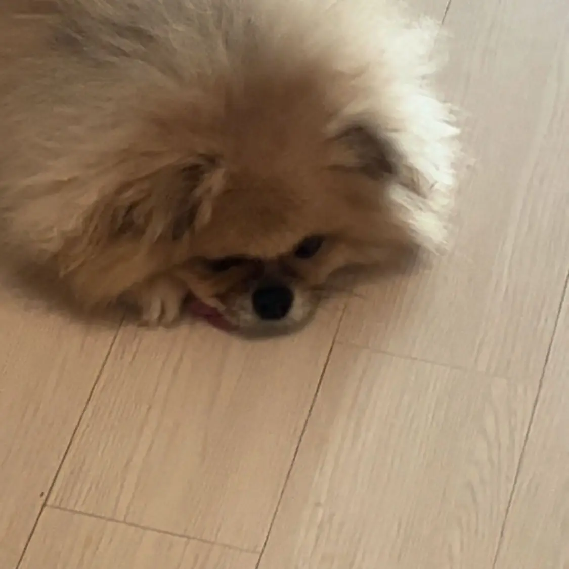 _1_2_3_의 꽥탐 캠핑