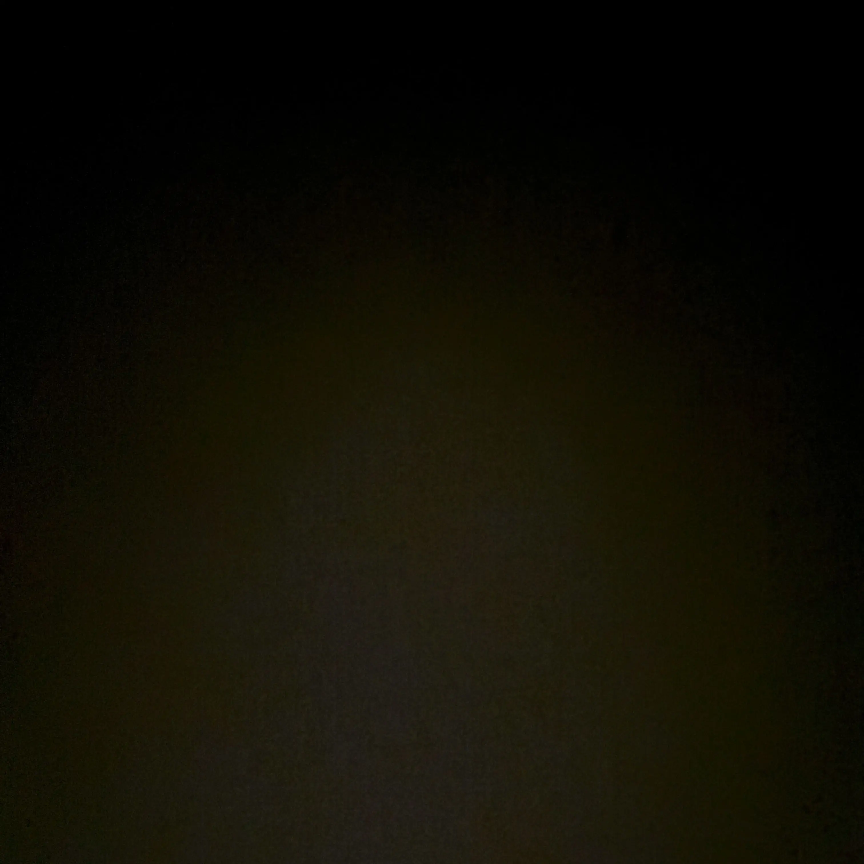 VoicedDog5076의 あなたは学校の女子番長