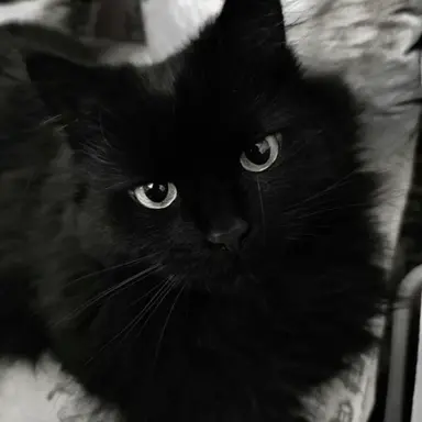 Profile image of 하루토