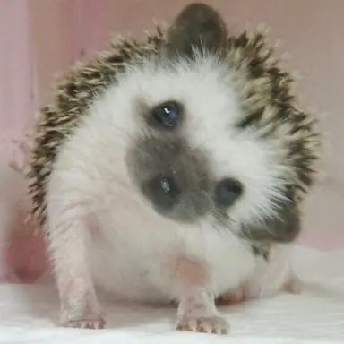 Profile image of 현석