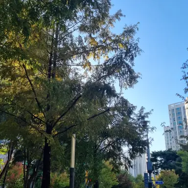 Profile image of 오뉴