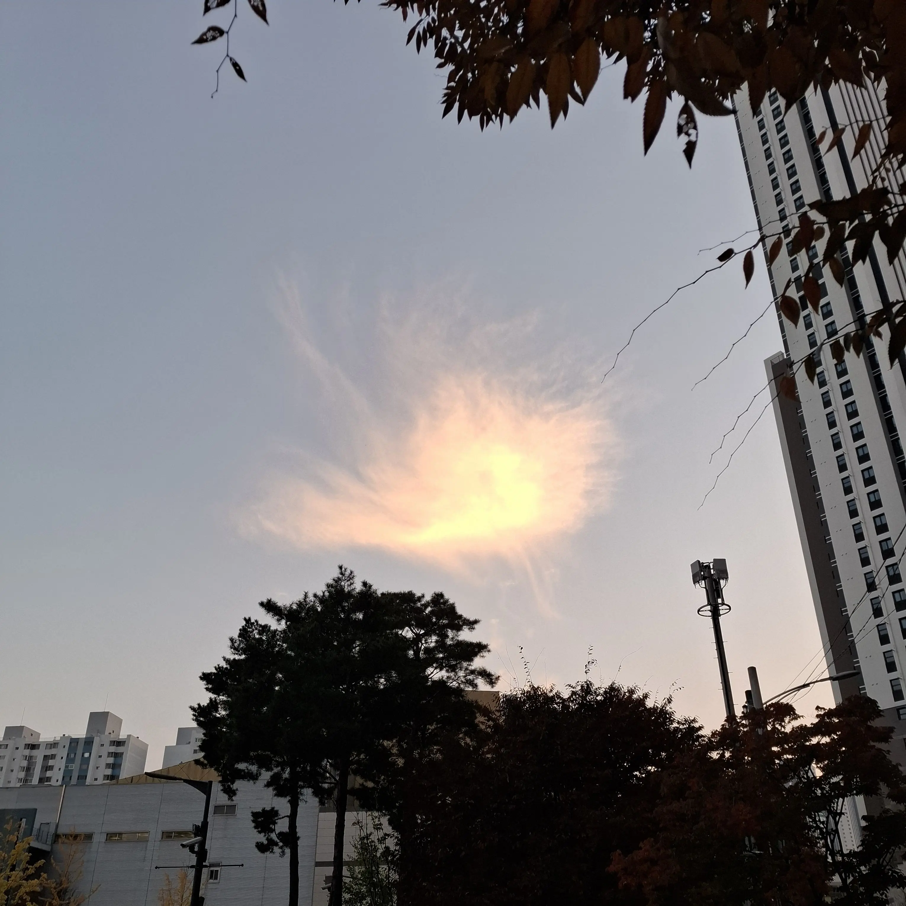 chayun_1의 인형에 카메라 숨긴 집착남 감J