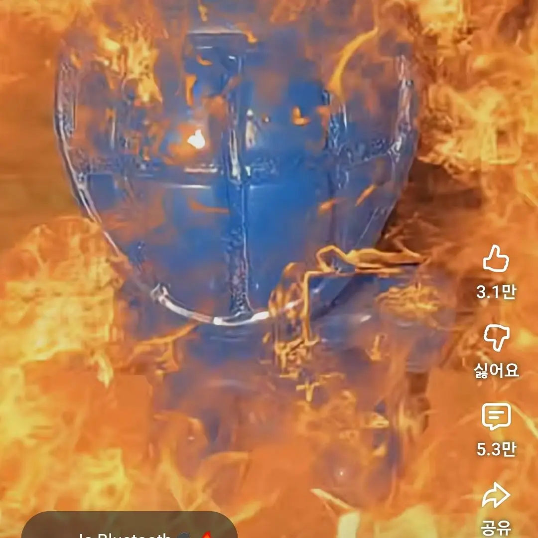 -wa-의 벛꽃 나들이