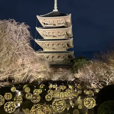 Profile image of 岩本照