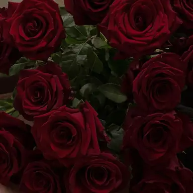 Profile image of 서한솔