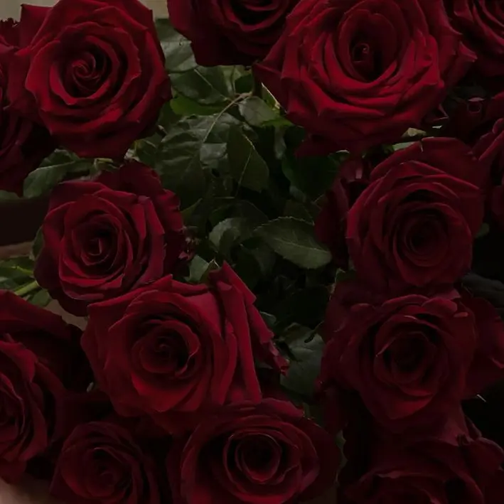 Dino_0911의 게임을 시작하시겠습니까?