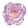 Profile image of もぶ