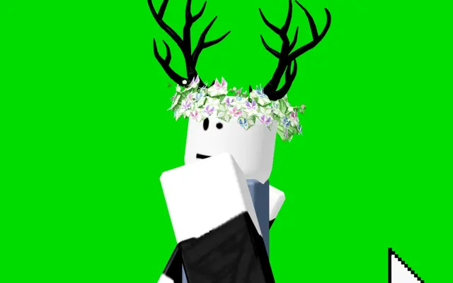 Profile image of 루아