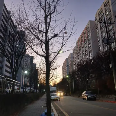 Profile image of 여우