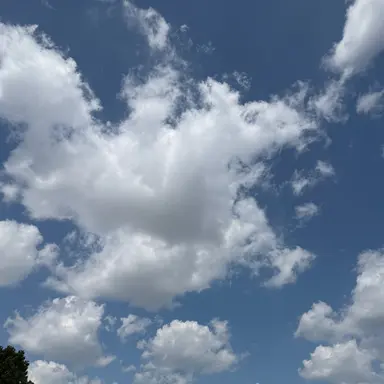 Profile image of 유저