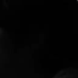 Profile image of 이서진