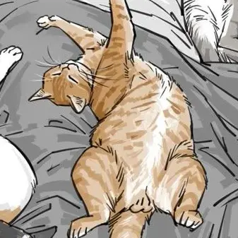 Profile image of Jeff