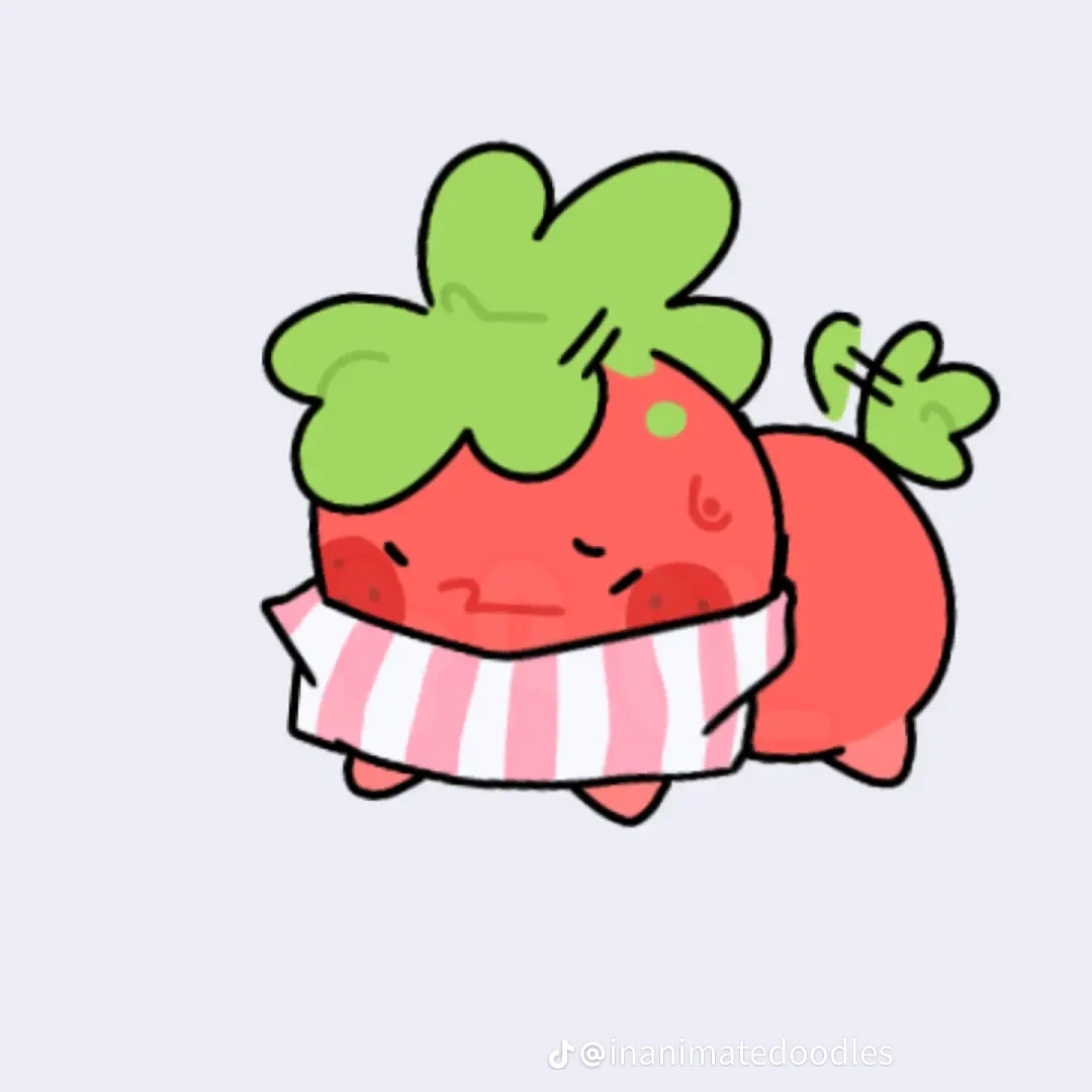 스프라우트 강쥐