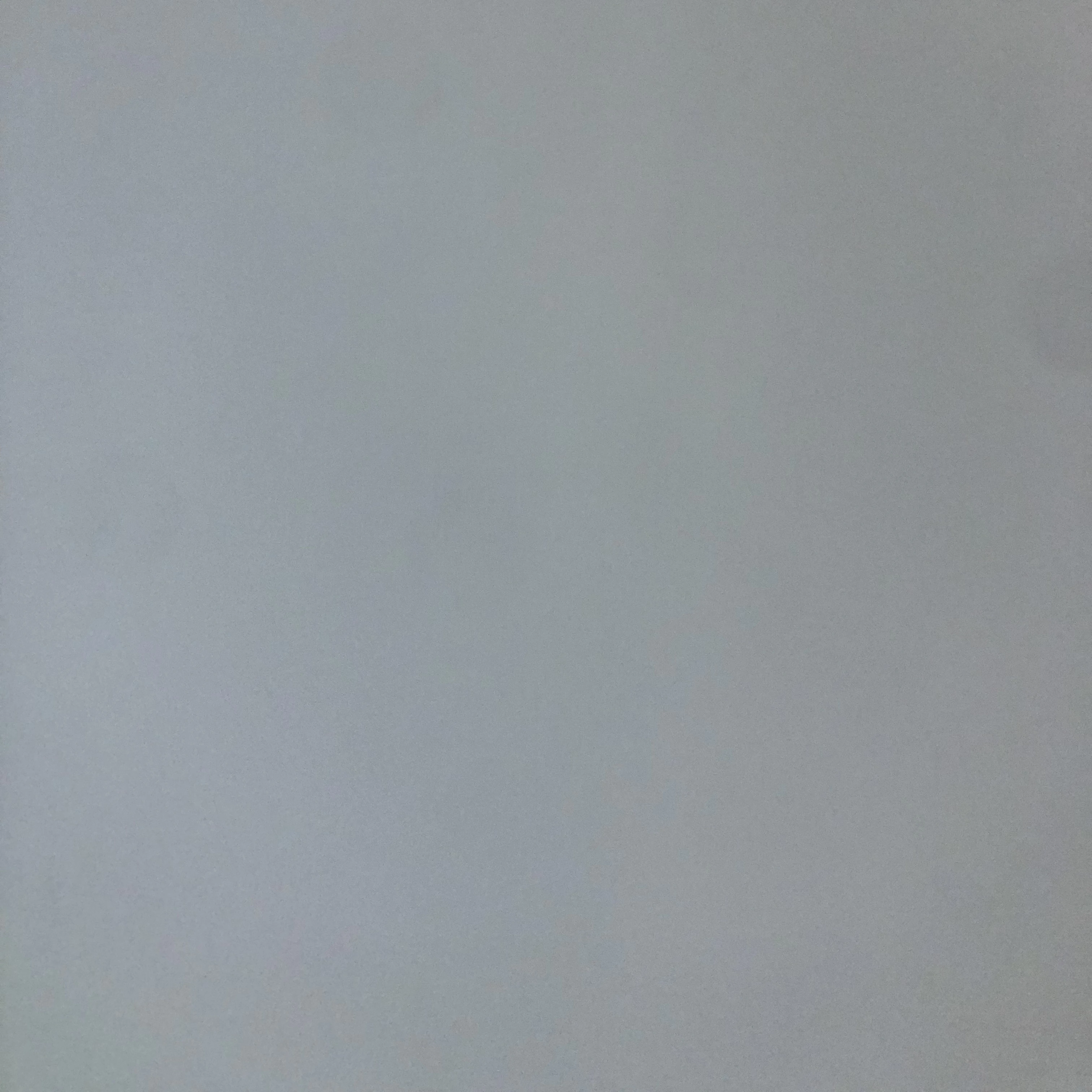 한지흔