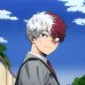 Profile image of Shoto Todoroki
