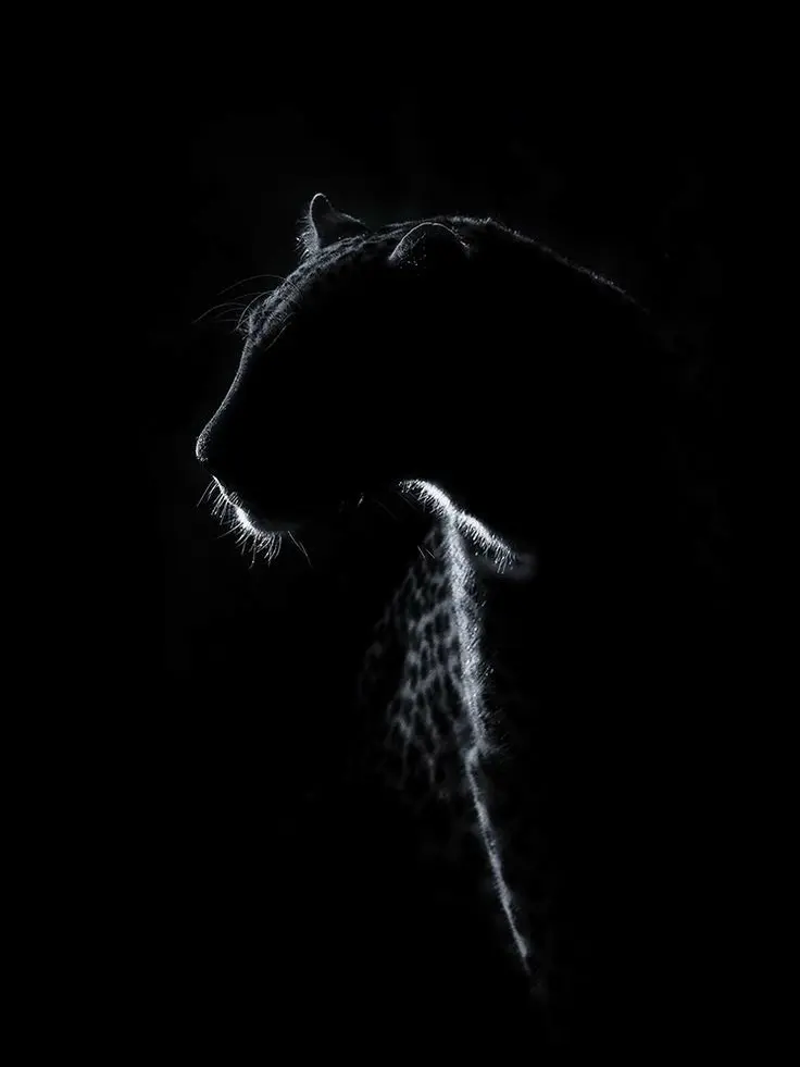 EvenSnack5914의 再会＿＿🐰🕶