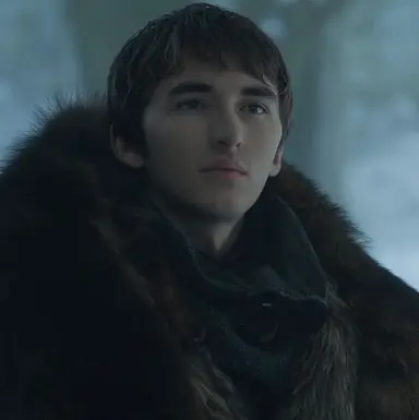 Profile image of Bran Stark