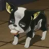 Profile image of イギー
