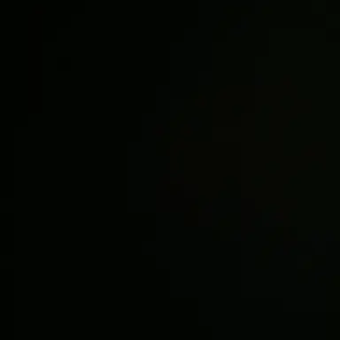 Profile image of 이리오