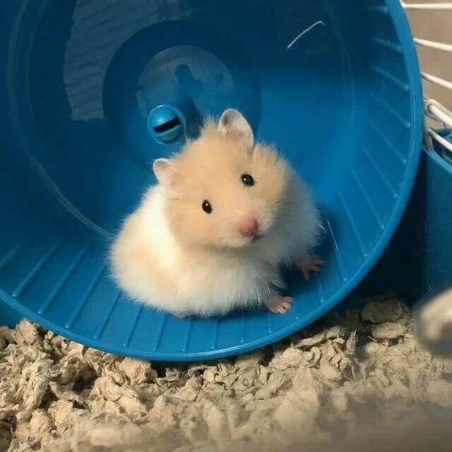 김 운 함
